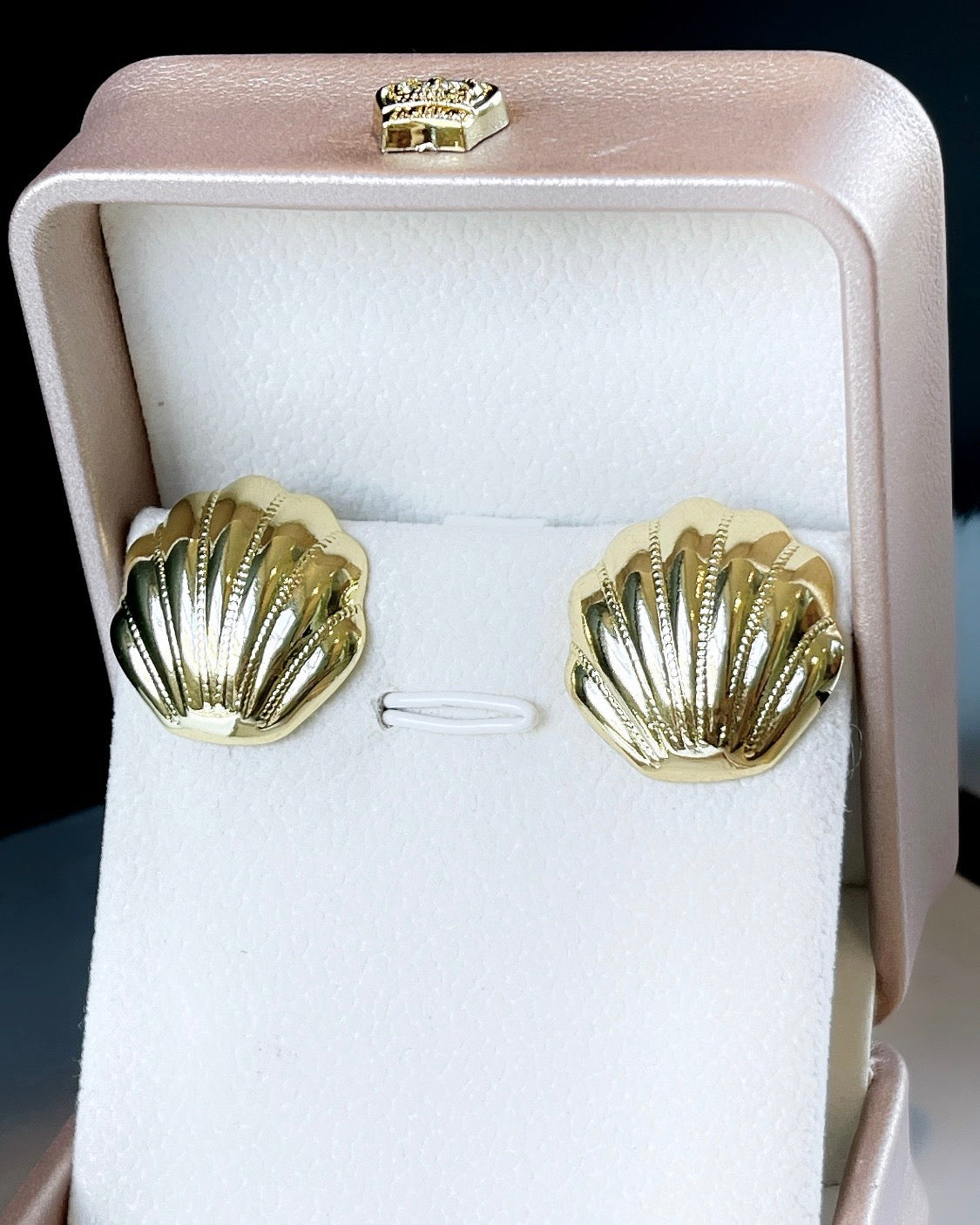 Seashell Earring