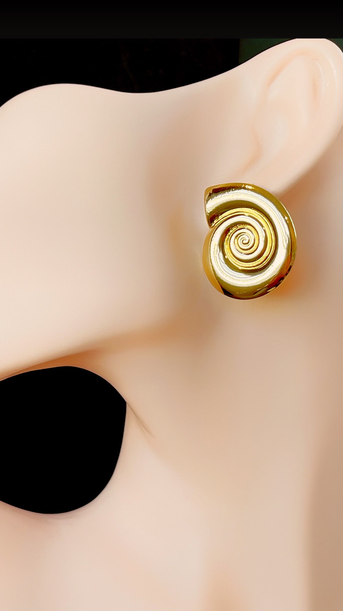 Sundial Seashell Earring