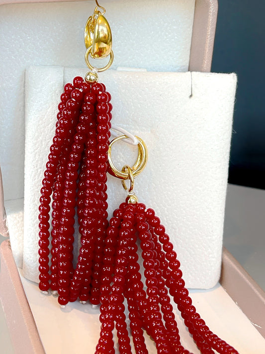 2in1 Beaded Tassel Earring Hoop