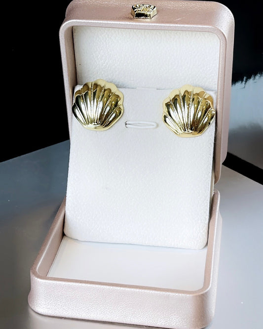 Seashell Earring