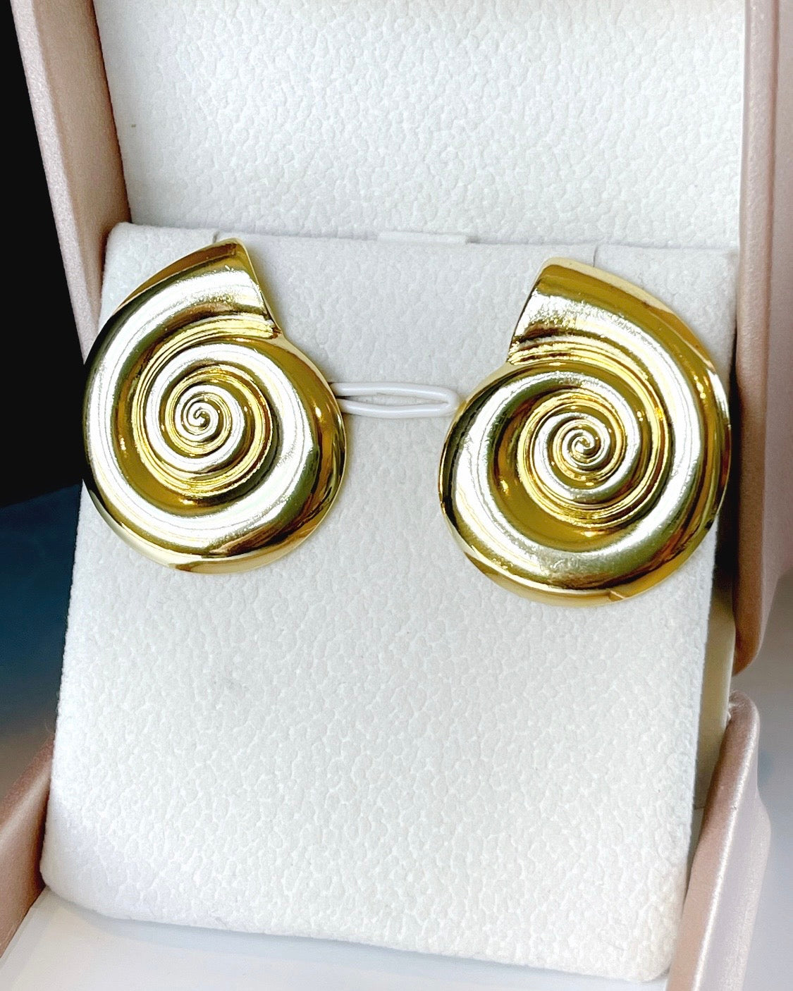 Sundial Seashell Earring