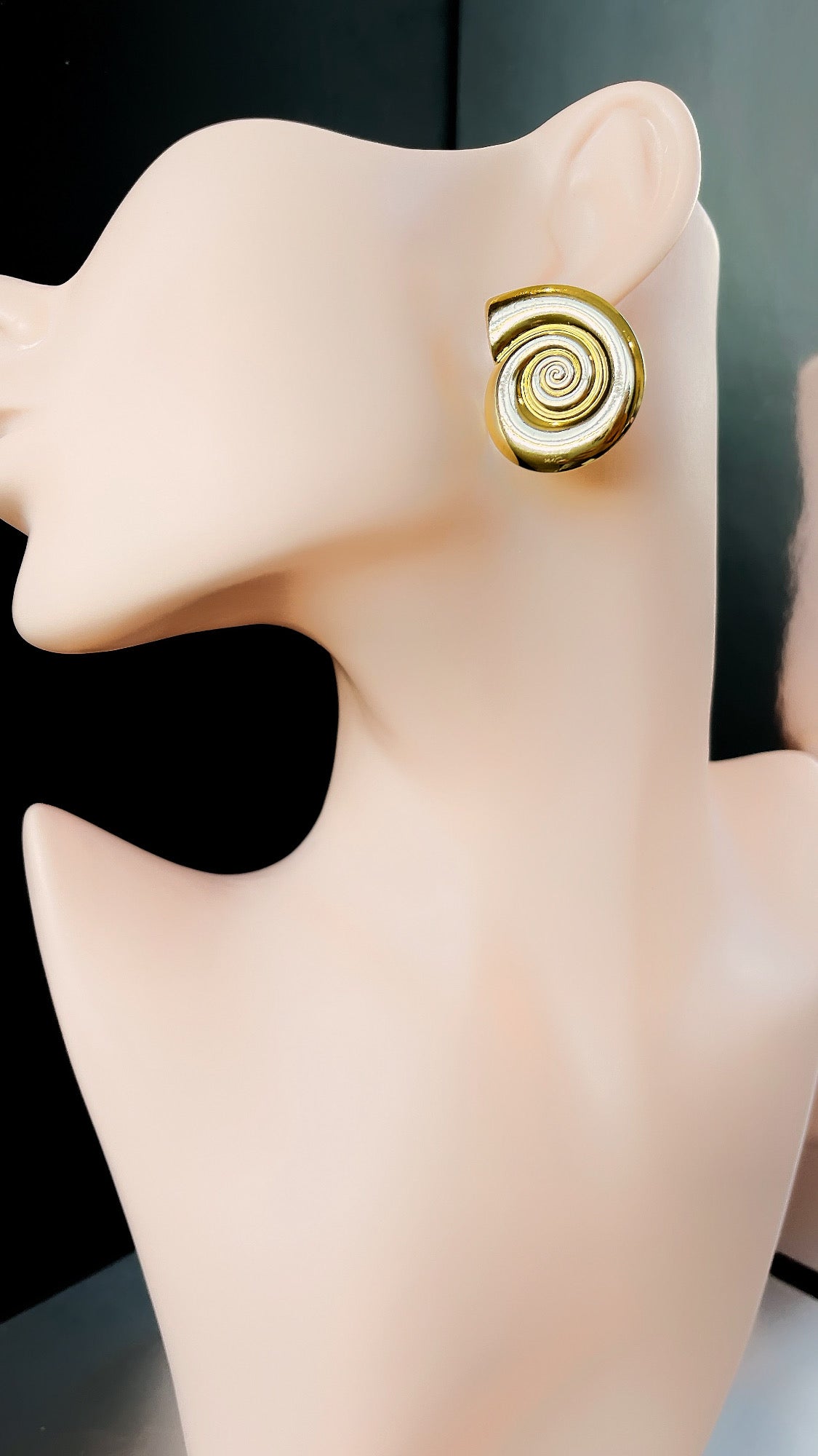 Sundial Seashell Earring