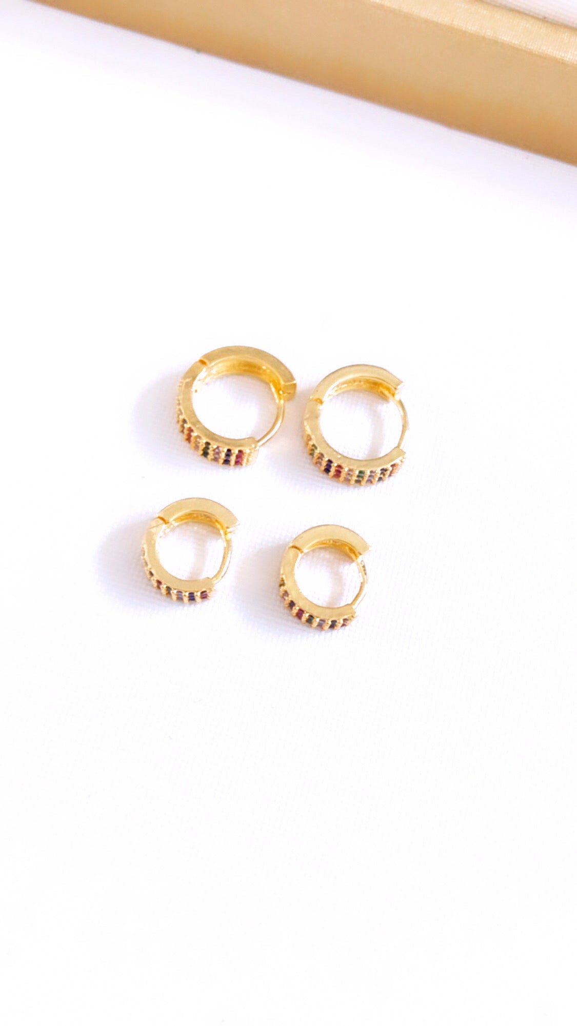 Duo Double Colors Pave Hoop Earring