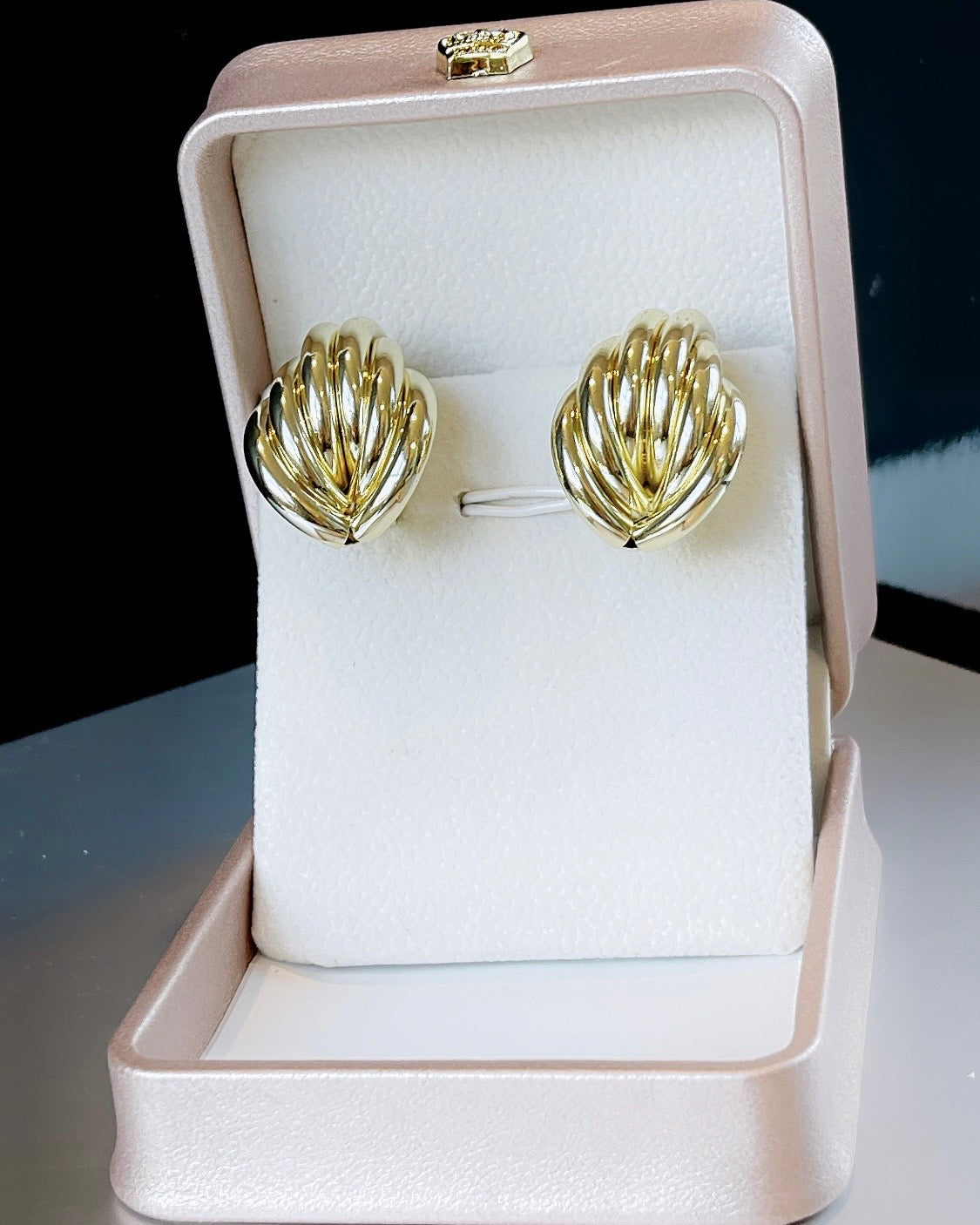 Cable Knit Shell Earring
